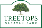 Tree Tops